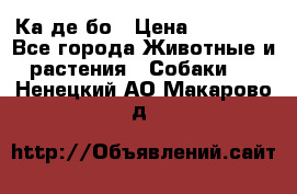 Ка де бо › Цена ­ 25 000 - Все города Животные и растения » Собаки   . Ненецкий АО,Макарово д.